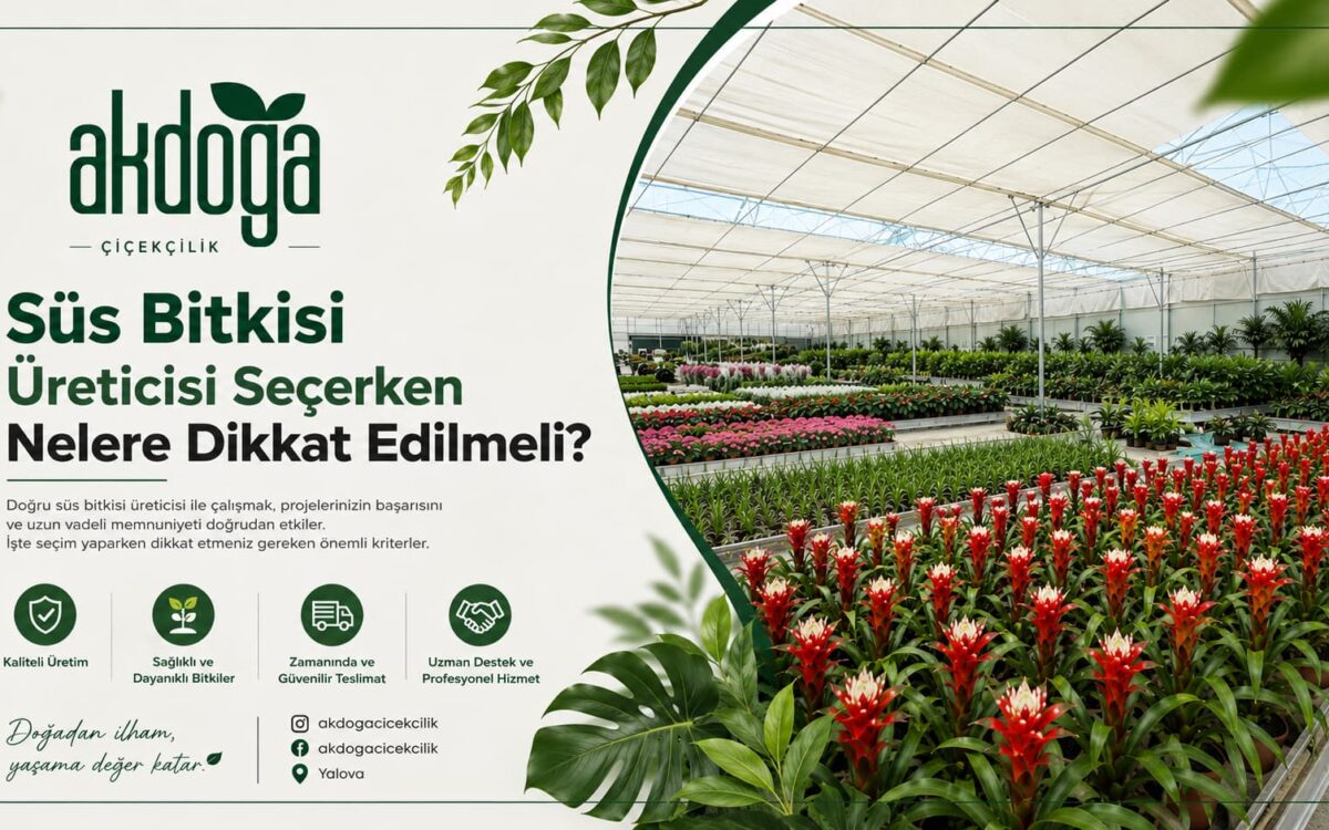 Yalova süs bitkisi üretim alanı