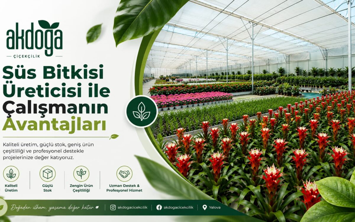 Akdoğa Çiçekçilik üretim alanı